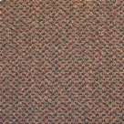 Coral Spice Beige Carpet Tile